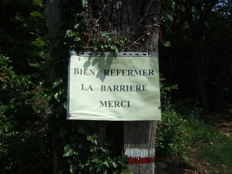 2010-05- (51).JPG